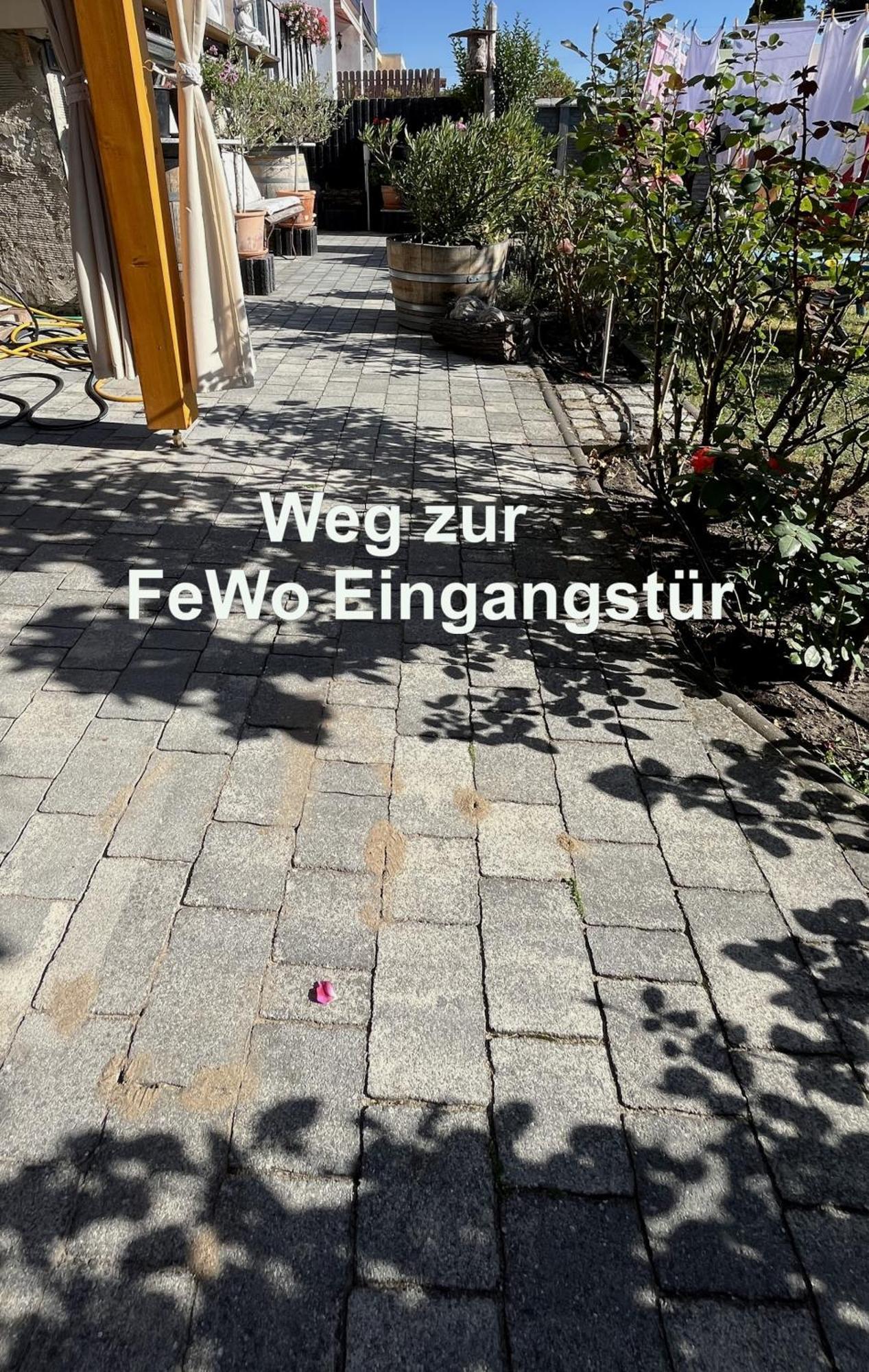 Die Ferienwohnung - Wittenberg An Den Elbwiesen Ngoại thất bức ảnh